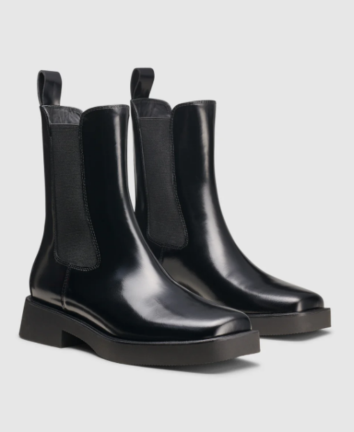 The shoe in this image are Chelsea Boots.